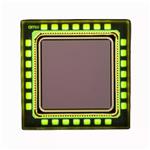 ams OSRAM MIRA016-3QM2WB FT SE Enlarged Image