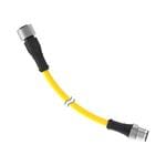 Banner Engineering DEE2R-811D Enlarged Image