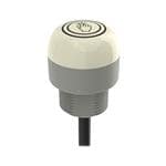 Banner Engineering K30APT2FGRYF2QP Enlarged Image