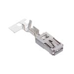 Aptiv (formerly Delphi) 10811289 Enlarged Image