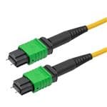 PolyPhaser MFO-MM12SM-AP-5 Enlarged Image