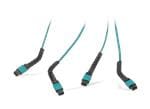 Molex FlexiBend MTP/MPO Multi-Fibre Solutions