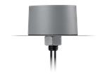 Taoglas MA114.B.LB.001 2-in-1 Permanent Mount Antenna