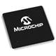 Microchip Technology PIC32MZ1064DAL176-I/2J
