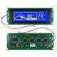 Newhaven Display NHD-24064WG-ATMI-VZ#