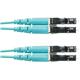 Panduit FX2ERLNLNSNM006