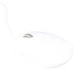 Raspberry Pi SC1685 Enlarged Image